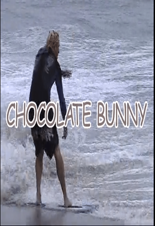 Chocolate Bunny